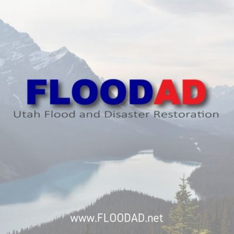 Visit FloodAD