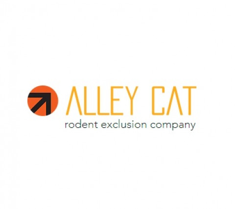 Visit Alley Cat