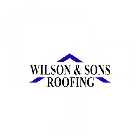 Visit Wilson and Sons Roofing