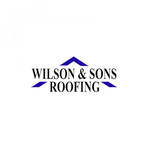 Visit Wilson and Sons Roofing